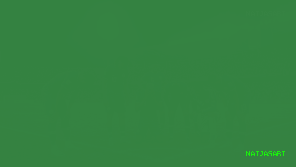 Why Nigeria’s Super Eagles Failed to Qualify for the 2026 World Cup — The Full Story