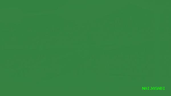 Super Eagles at AFCON 2025: The Complete Review — Bronze Glory, Moroccan Heartbreak and What It All Means