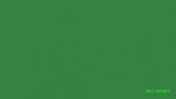 How to Invest in the Nigerian Stock Market for Beginners in 2026: The Complete Step-by-Step Guide