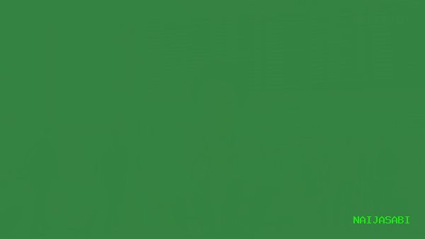 Countries Nigerian Passport Can Enter Without Visa in 2026 — The Complete Green Passport Guide