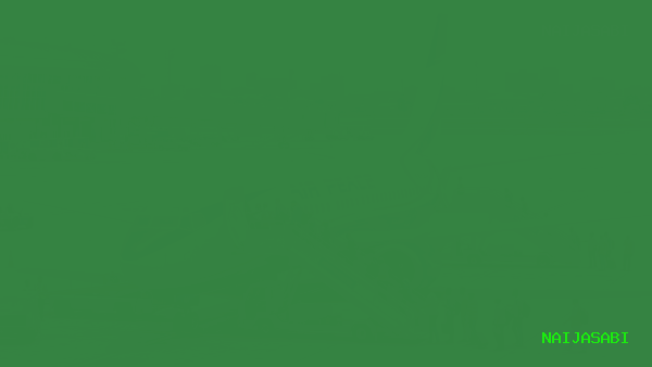 Cheapest Airlines in Nigeria 2026: Domestic Flight Comparison — Air Peace vs Ibom Air vs United Nigeria and More