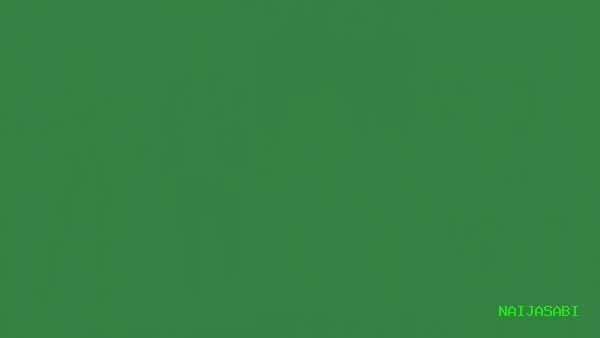 Fashion Trends in Nigeria 2026: What Nigerians Are Wearing, Buying and Creating This Year