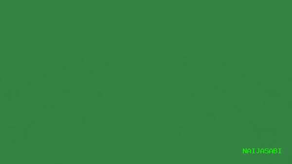 WAEC 2026: Timetable, Registration, How to Pass in One Sitting — The Complete WASSCE Guide