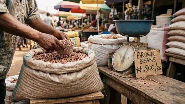 Beans Price in Nigeria 2026: NBS Latest Price per Kg, Cheapest and Most Expensive States